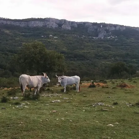 Apartamento Terassin Koper