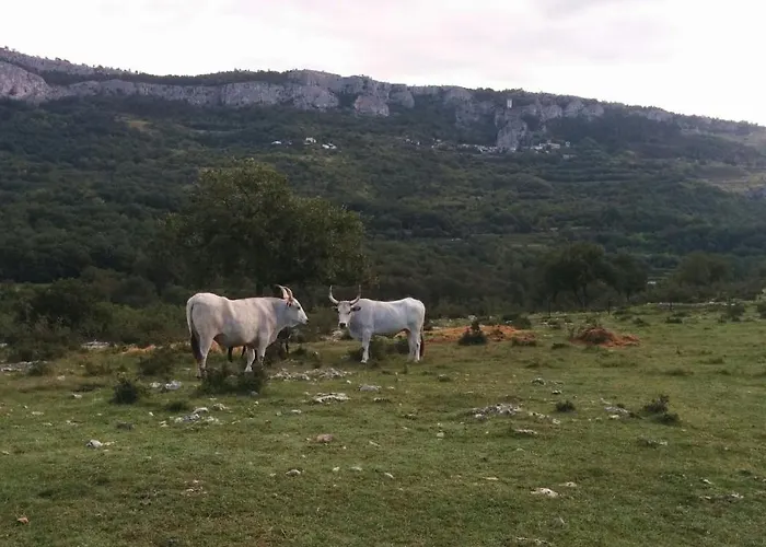 Διαμέρισμα Terassin Κόπερ