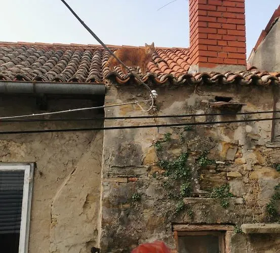 Terassin Διαμέρισμα *